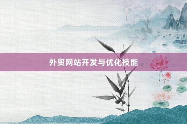 外贸网站开发与优化技能